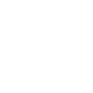 Portexa bug logo
